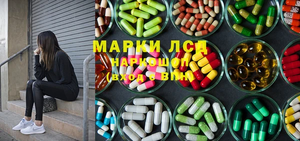 прущие грибы Абинск