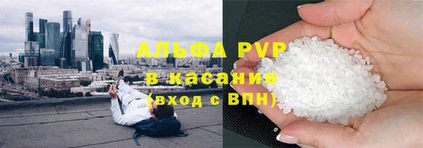 прущие грибы Абинск