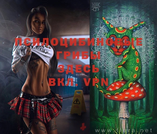 тгк Абдулино