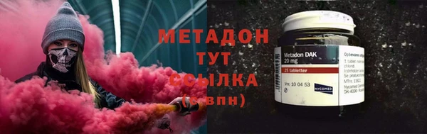 прущие грибы Абинск