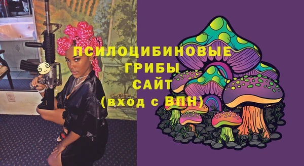 тгк Абдулино