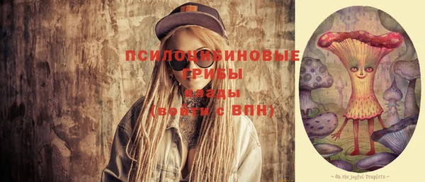 прущие грибы Абинск
