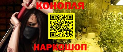 индика Братск