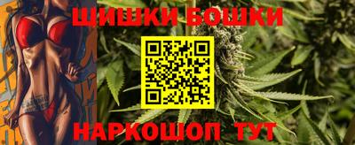 индика Братск