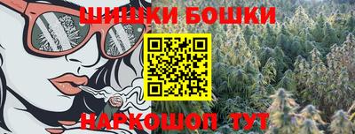 индика Братск
