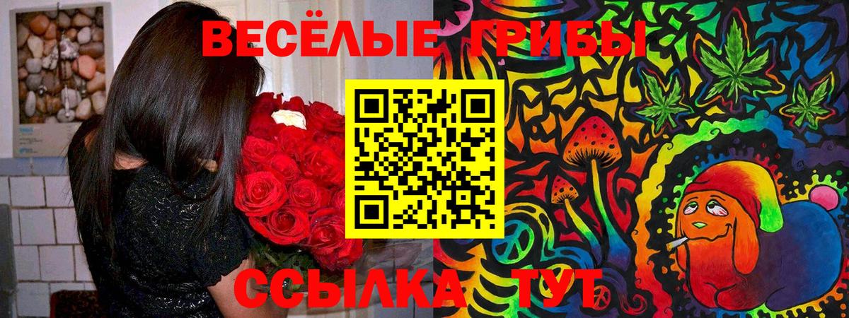 Липецк  Псилоцибиновые грибы GOLDEN TEACHER  как найти закладки  Галлюциногенные грибы GOLDEN TEACHER  Вход с VPN 
